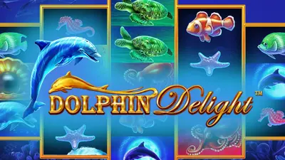 dolphin delight